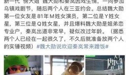 圈内爆料秦岚魏大勋视频,恋情疑云再起